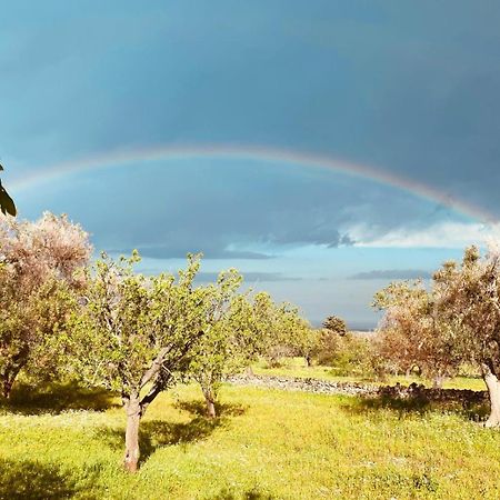 La Perla Di Torre Guaceto Villa Serranova Eksteriør billede