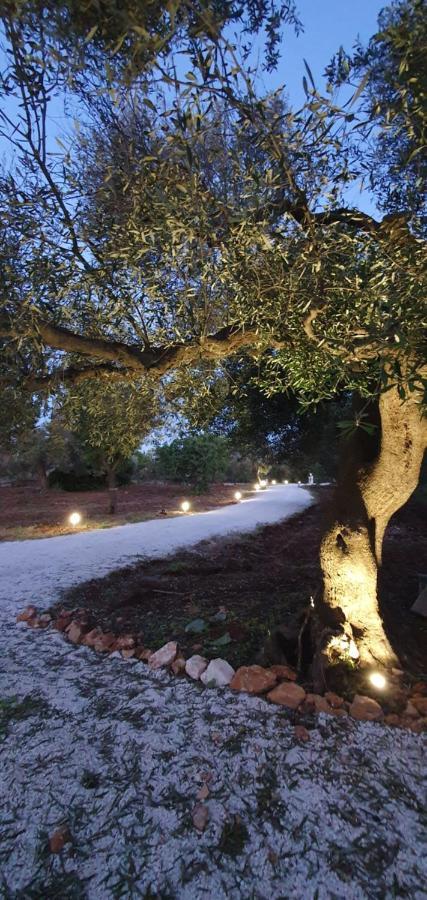 La Perla Di Torre Guaceto Villa Serranova Eksteriør billede