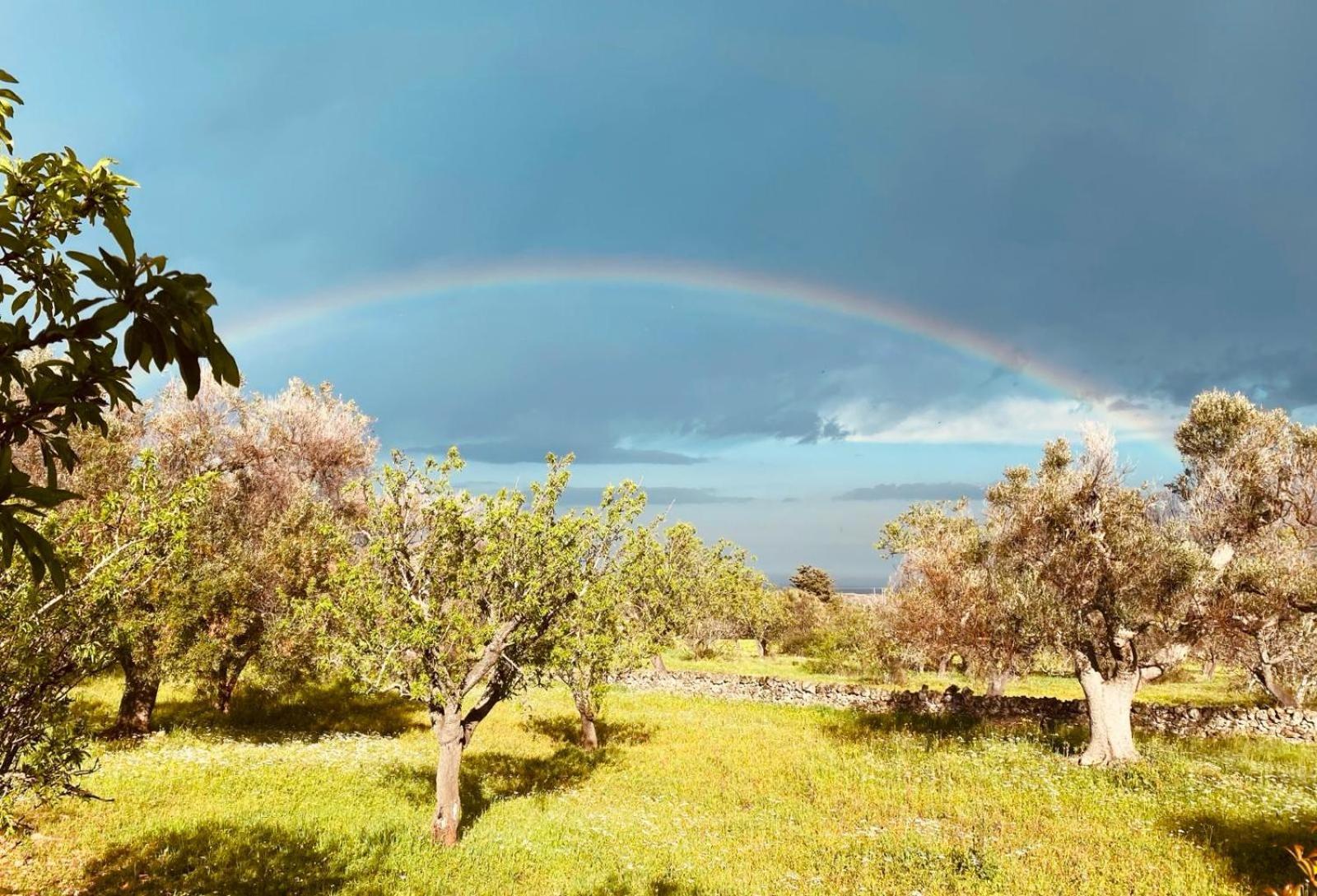 La Perla Di Torre Guaceto Villa Serranova Eksteriør billede